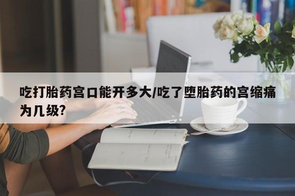 米非米索怎么买动态 第85页