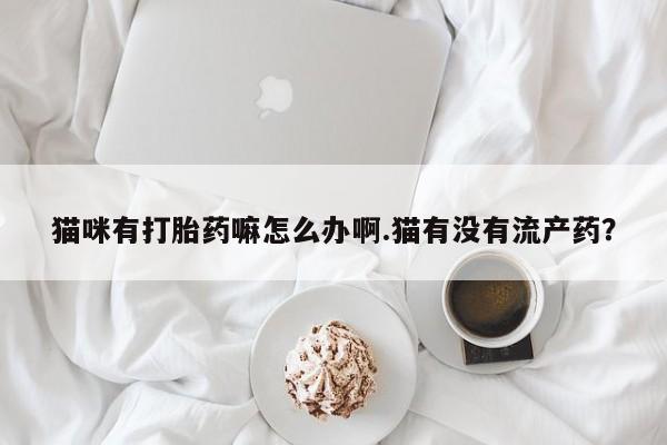米非米索怎么买猫咪有打胎药嘛怎么办啊.猫有没有流产药？